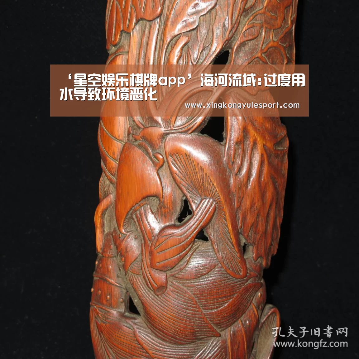 星空娱乐